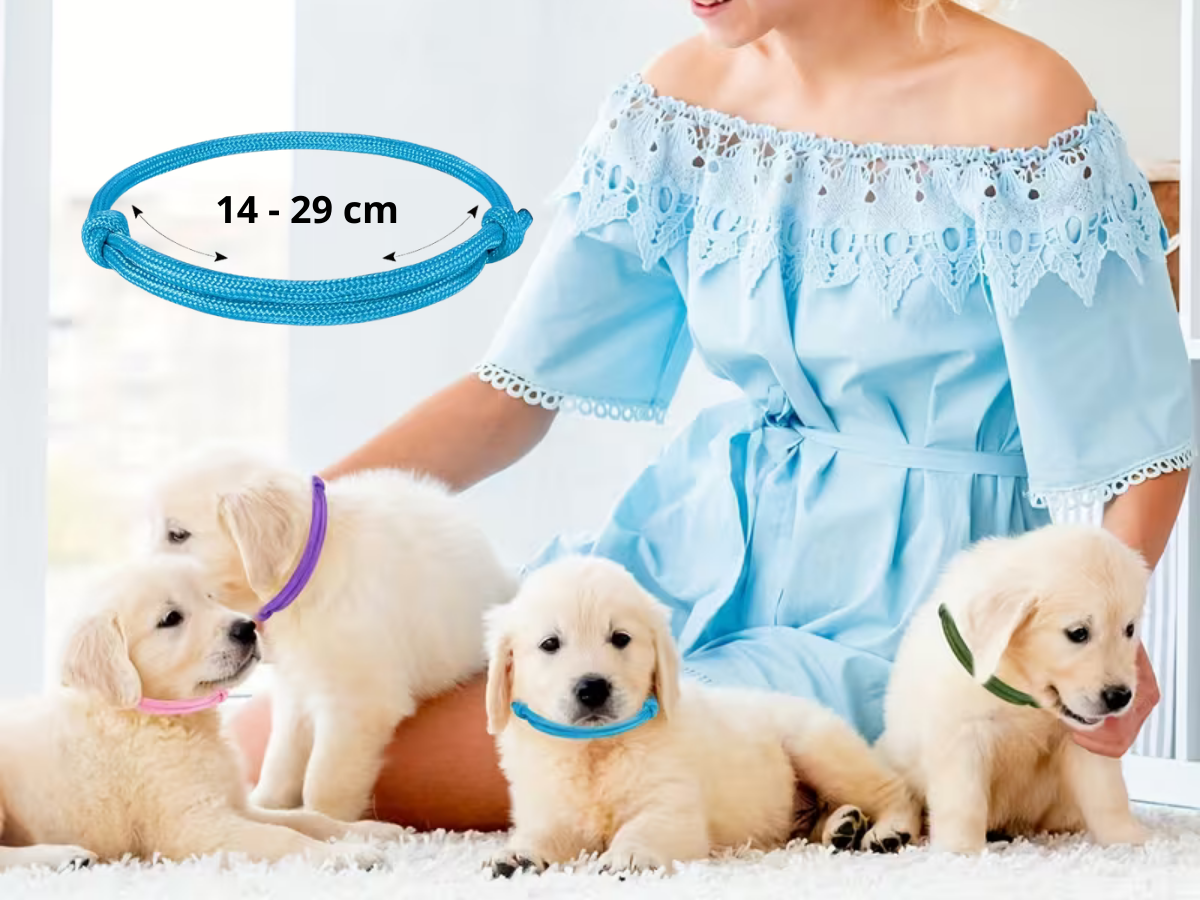 kulaté rozlišovací obojky